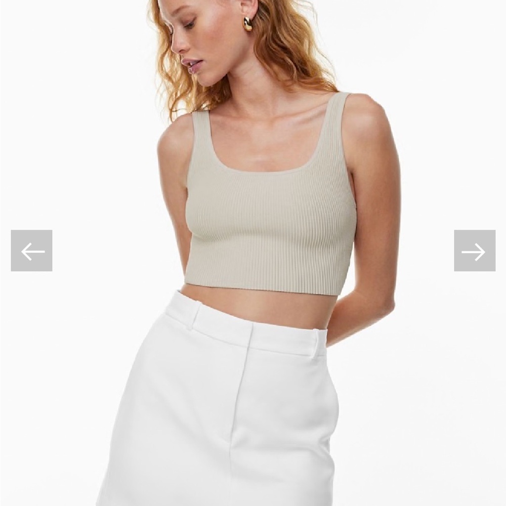 Aritzia Taupe Ribbed Crop Top